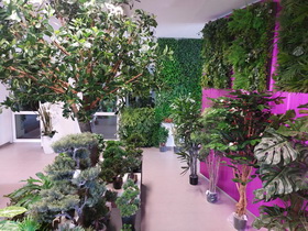 showromm STUDIOGREEN